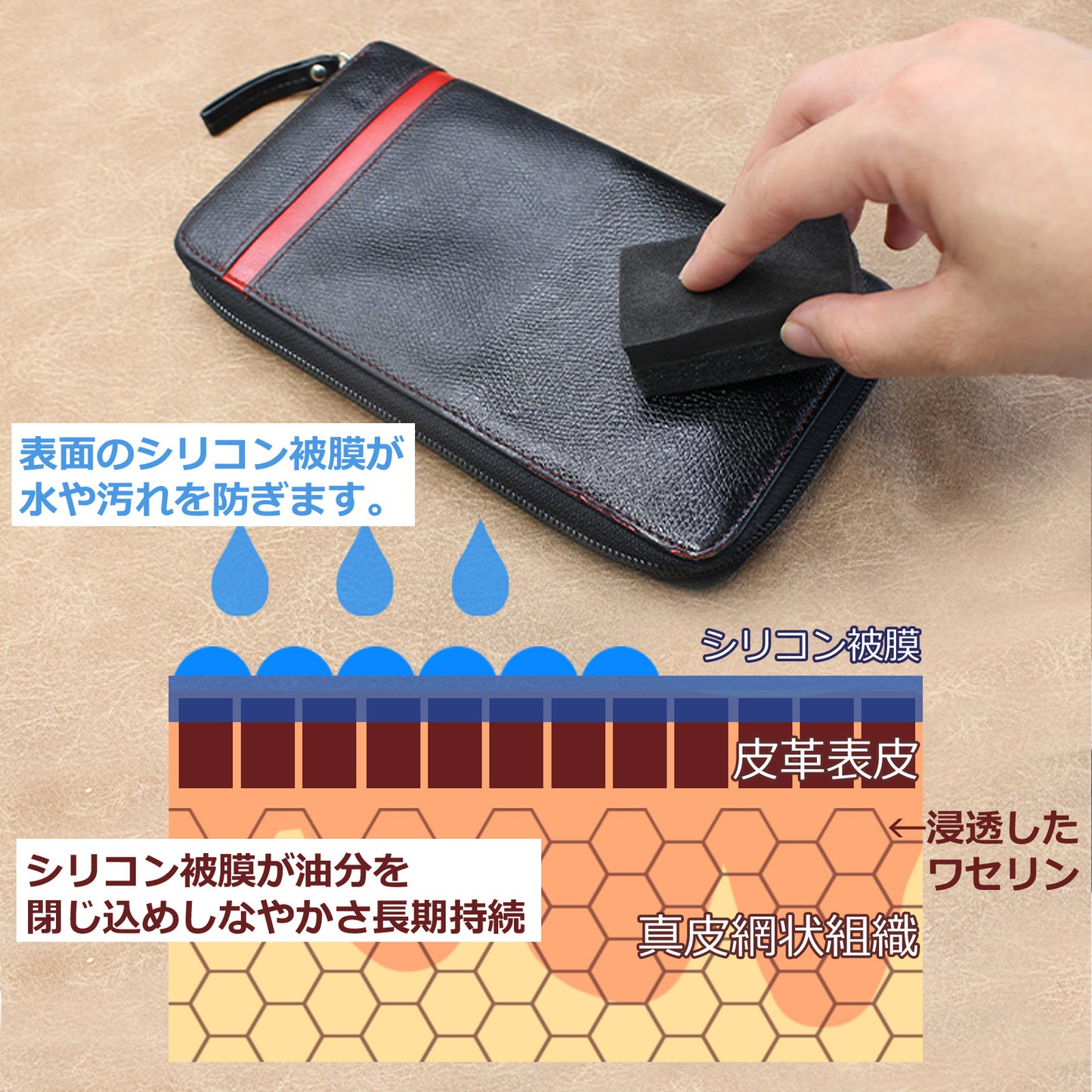 レザーケアセット 革クリーナー＆コーティング 日本製 本革 合皮対応 汚れ落とし 撥水 艶出し 初心者向け