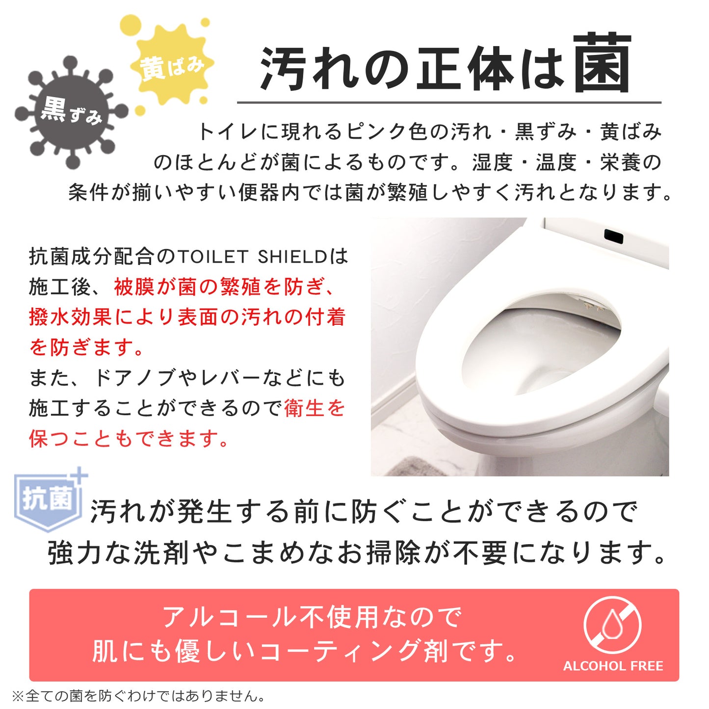 トイレの黒ずみ・菌を防ぐ 撥水コーティング 抗菌プラス 300ml 日本製 TOILET SHIELD