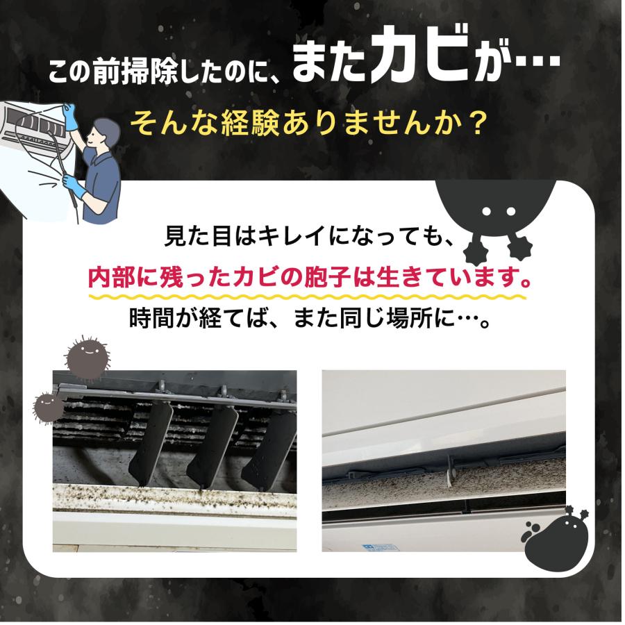 赤ちゃん安心 無香料 エアコン内部 防カビスプレー＆ブラシ 日本製 かんたん掃除セット 家庭用