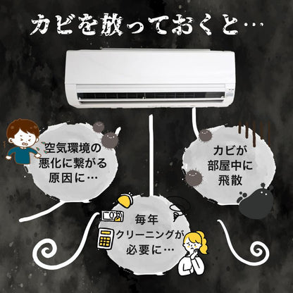 赤ちゃん安心 無香料 エアコン内部 防カビスプレー＆ブラシ 日本製 かんたん掃除セット 家庭用
