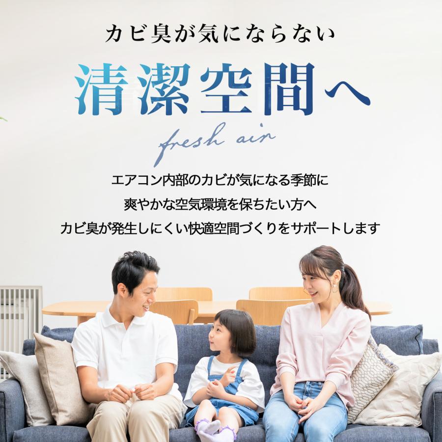 赤ちゃん安心 無香料 エアコン内部 防カビスプレー＆ブラシ 日本製 かんたん掃除セット 家庭用