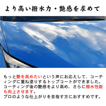 【洗車セット 業務用2点】鉄粉除去スプレー＋超撥水トップコート 日本製 アウトレット訳あり 変形ボトル 特価 コーティング前後対応爆買